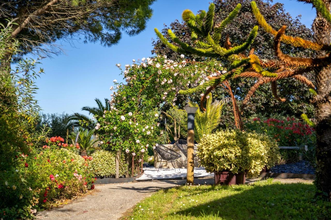 Le Bassin Du Tertre Bed & Breakfast Fronsac  Exterior photo