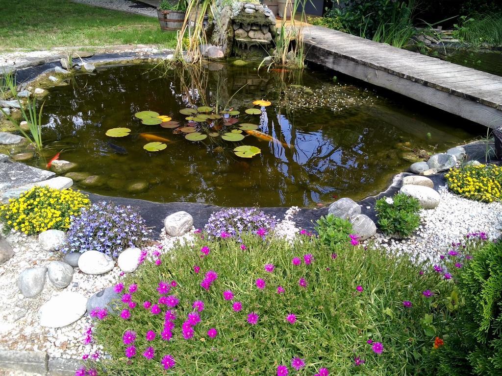 Le Bassin Du Tertre Bed & Breakfast Fronsac  Exterior photo
