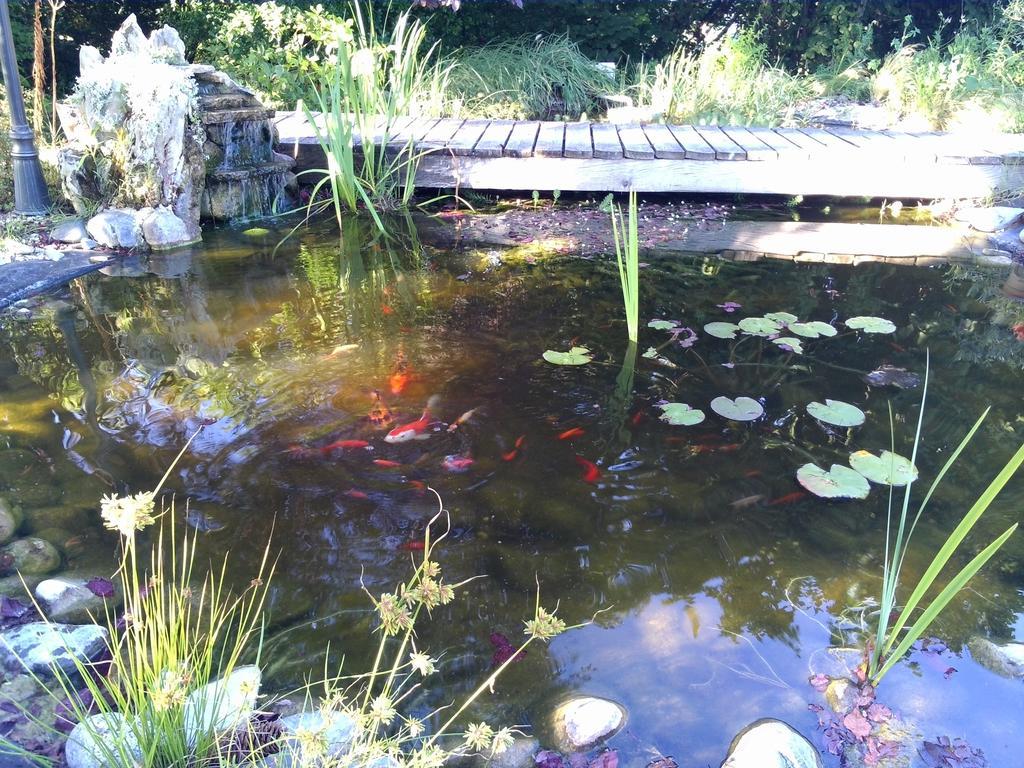 Le Bassin Du Tertre Bed & Breakfast Fronsac  Exterior photo